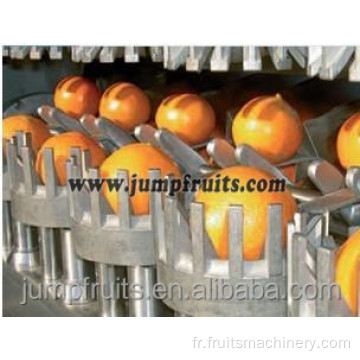 Fruit Orange / Plum / Pear / Peach Juice Extracteur